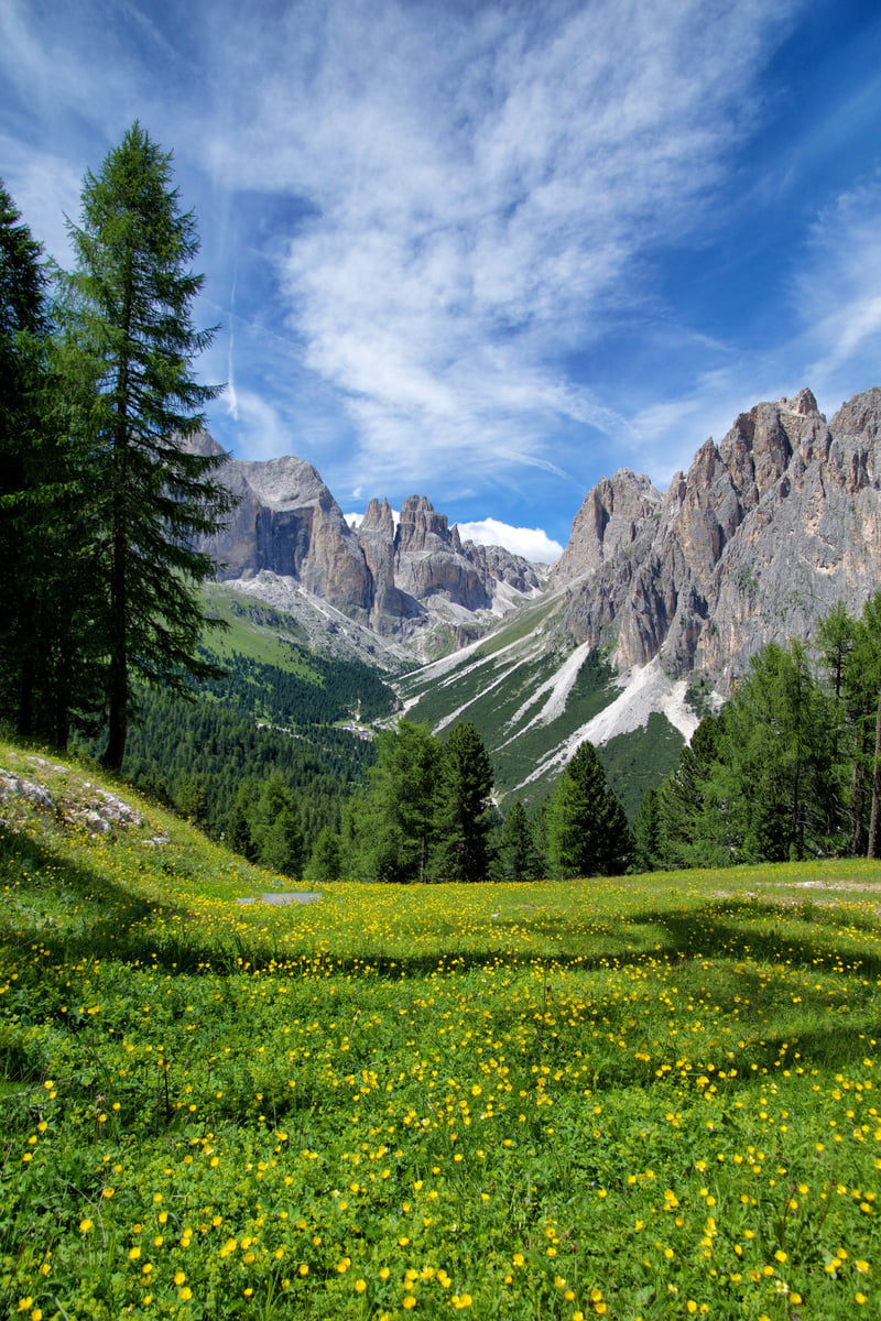 Landscape Of Mountains And Green Hills