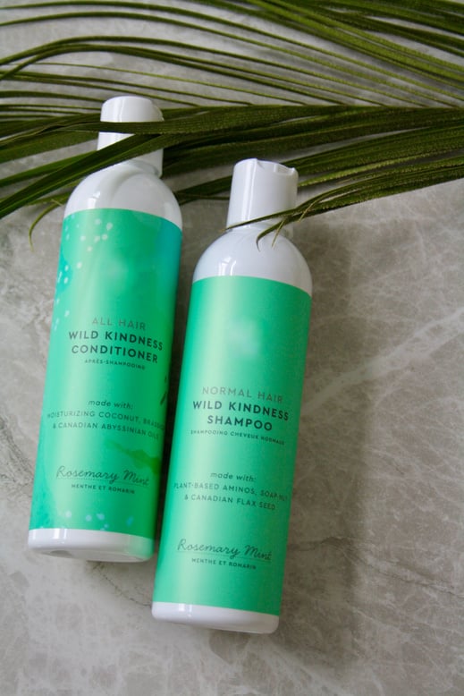 Shampoo and Conditioner Product Photo